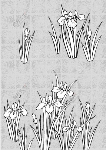日本的植物花卉矢量素材图44