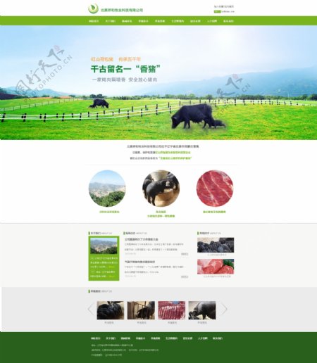 绿色农业畜牧业网站网页模板PSD