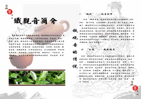 铁观音茶宣传册图片