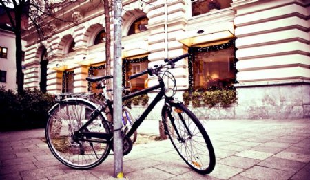 位图T恤图案街头摄影自行车色彩免费素材