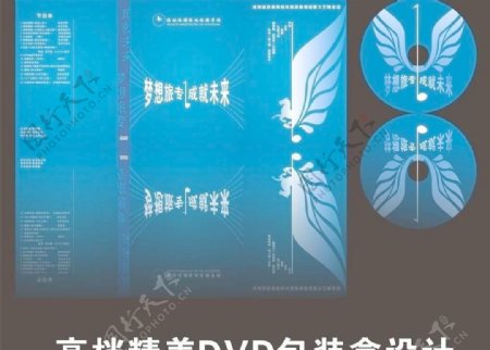 dvd包装封套设计图片