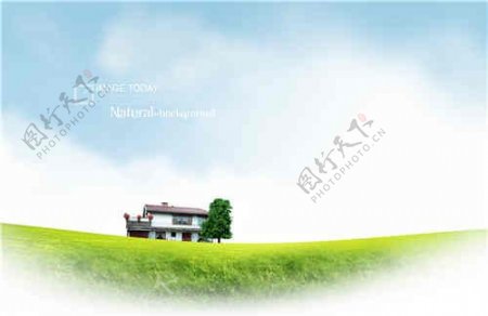 高清住房绿色概念草树素材