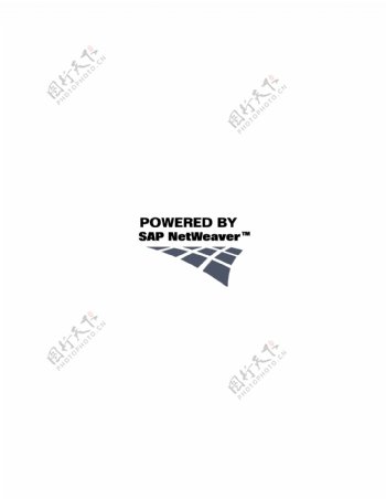 NetWeaverlogo设计欣赏NetWeaver软件公司标志下载标志设计欣赏