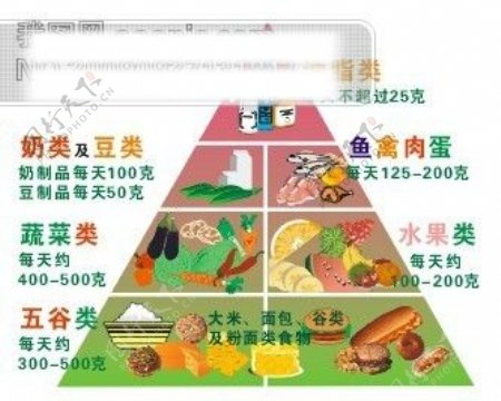 食物金字塔