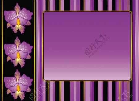 矢量紫色花朵装饰相框素材