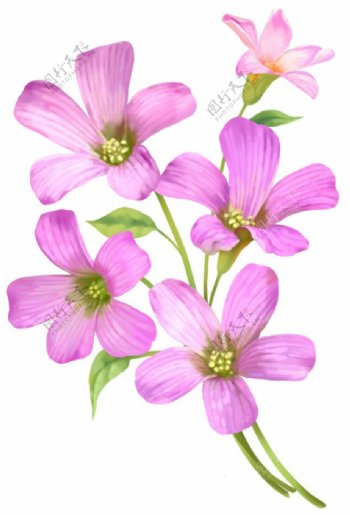 紫色小花朵19