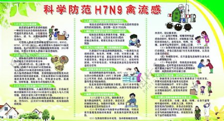 H7N9禽流感图片