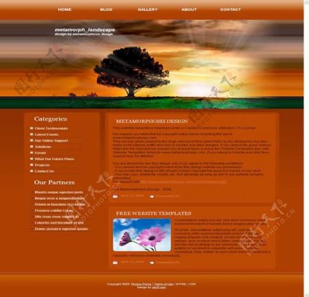 国外曙光创意网站模板