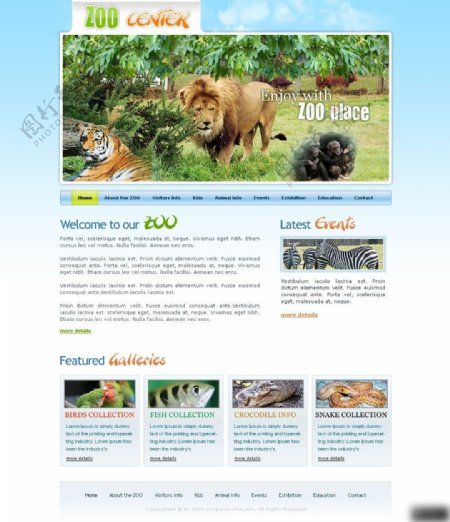 动物园网页设计