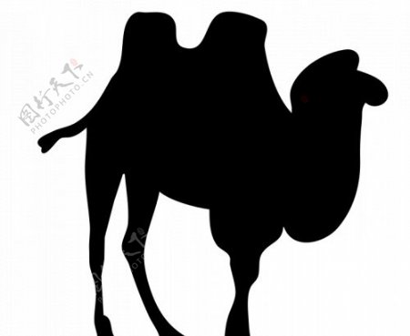 骆驼的轮廓矢量剪贴画
