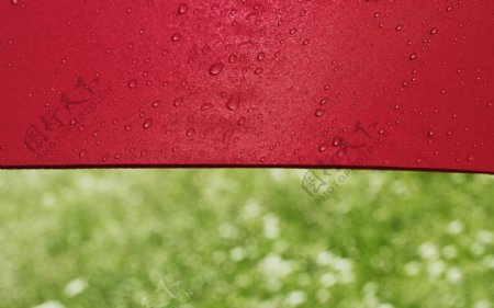 春雨红伞绿意