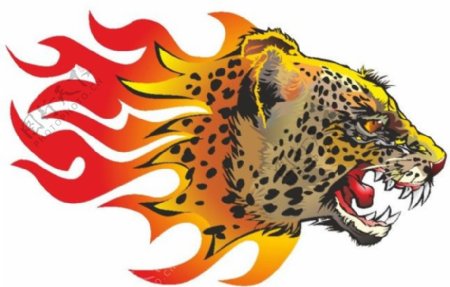火焰豹子头图片
