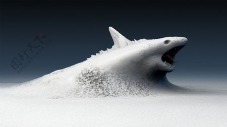沙海里的大白鲨一跃而起