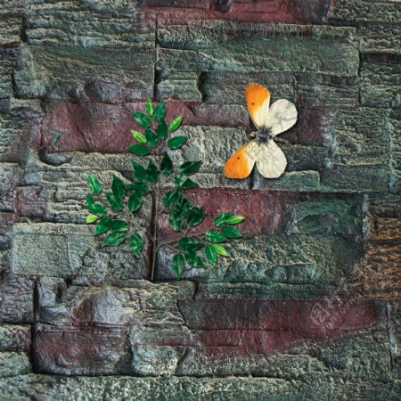 石头墙壁树叶蝴蝶psd素材