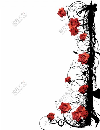 漂亮玫瑰花纹矢量素材图片