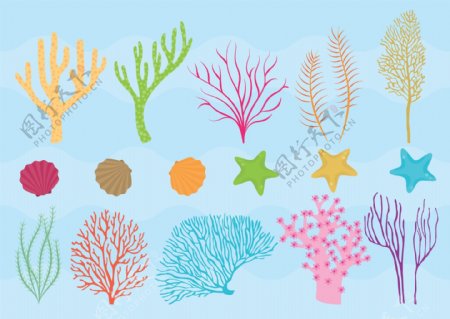 珊瑚设计图