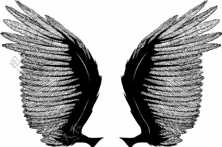 印花矢量图动物翅膀色彩黑白色免费素材