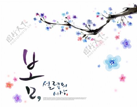 韩国花卉设计素材