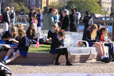 悉尼室外学习的孩子们图片