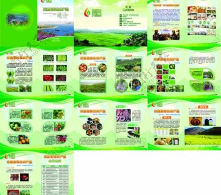 米易农产品画册图片