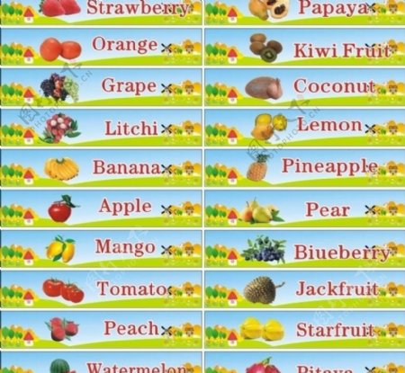 幼儿水果英语单词图片