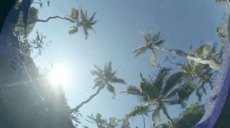 摇曳的棕榈树的水下运动的背景视频免费下载
