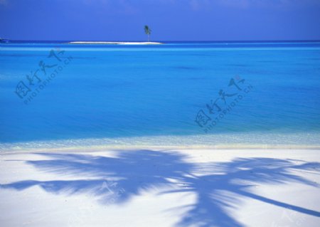 海岛海边海滩沙滩树影椰树天空晴空蓝天美景风景