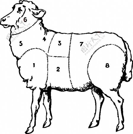 羊的剪辑艺术3
