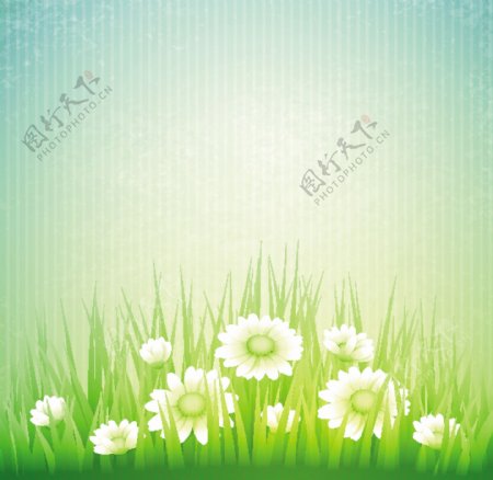 春天的花草背景