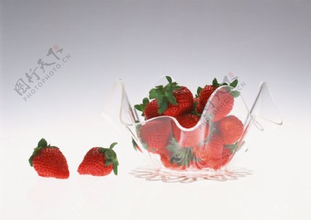 盆子里的新鲜草莓高清图片下载