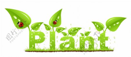 绿色植物字体矢量素材5