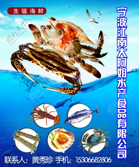 红膏蟹海鲜展板图片