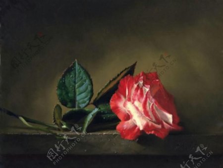 红玫瑰油画图片