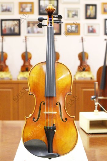 琴界网曹氏提琴STV7图片