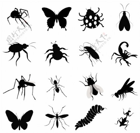 16种昆虫剪影矢量素材