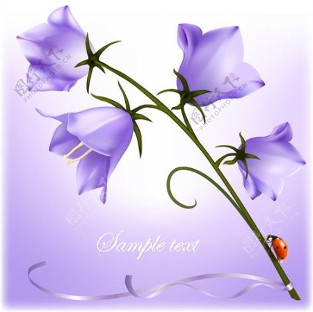 优雅的紫色花朵背景矢量01艺术