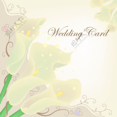 花纹装饰矢量婚礼卡设计3