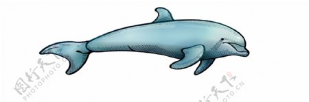 海豚AE源文件
