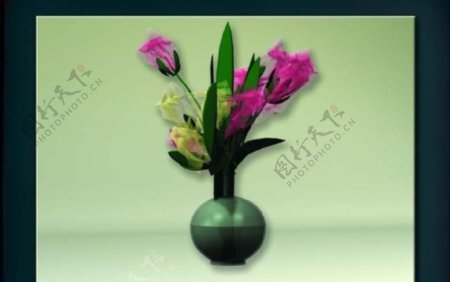 装饰构件之植物3D模型植物011