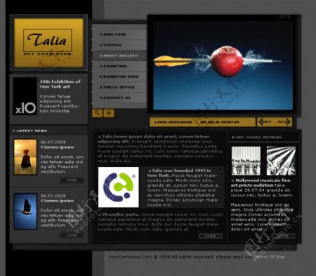 欧美黑色设计时尚简单大气苹果网页模板图片