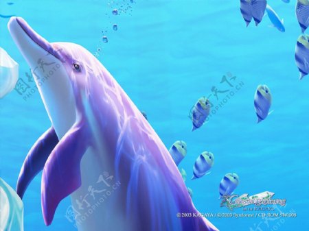 幻觉海豚梦幻的水中插画图片