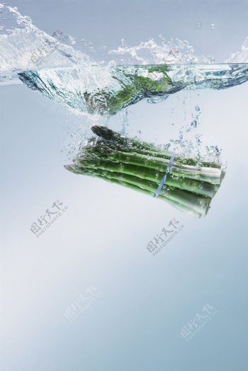 坠落水中的芦笋图片