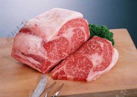 新鲜肉类设计图片素材图库下载