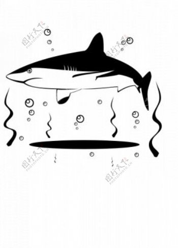 鲨鱼的矢量绘图
