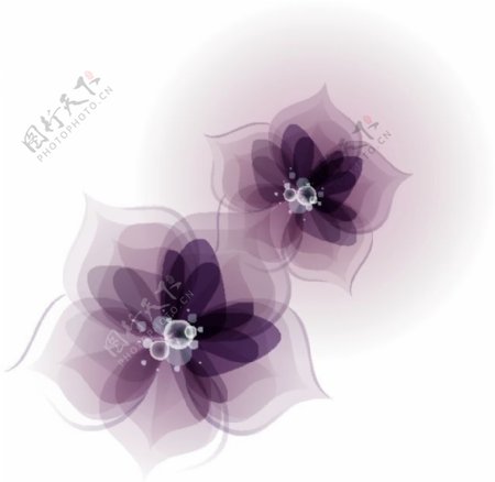 花紫色花