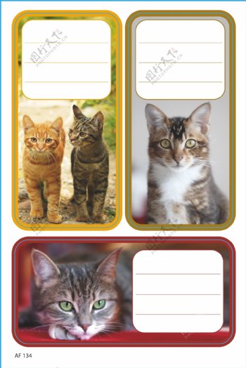 动物猫标签卡不干胶图片
