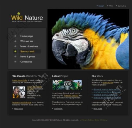 野生动物园网站设计PSD分层