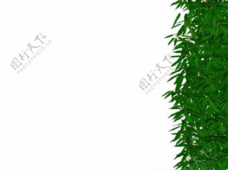 竹叶绿色背景PPT模板