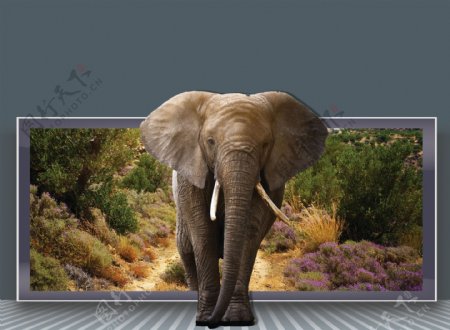 走出画框的大象图片