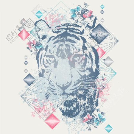 印花矢量图T恤图案图文结合动物老虎免费素材
